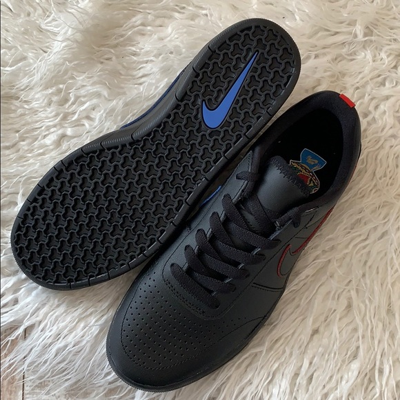 NWT Nike SB team classic premium - Picture 8 of 8